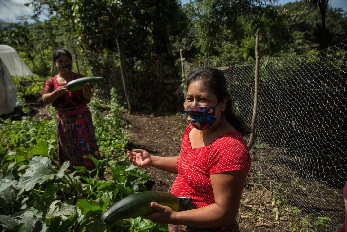 Foto de archivo. Mujeres cosechan vegetales en una huerta comunitaria de San Pedro Yepocapa (Guatemala).. EFE/ Esteban Biba