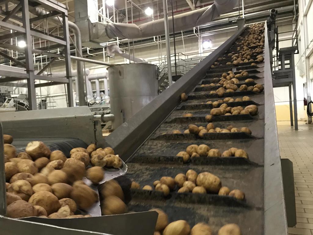 Fotografía de archivo de 2015 de un proceso de clasificación de patatas en una planta de producción de PepsiCo, en Saltillo, estado de Coahuila (México). EFE/Nora Quintanilla