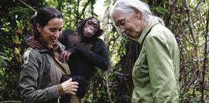 La veterinaria española Rebeca Atencia (i), directora del Centro de Rehabilitación de Chimpancés de Tchimpounga (CRCT), el santuario más grande de África, en una imagen de archivo junto a Jane Goodall (d). EFE