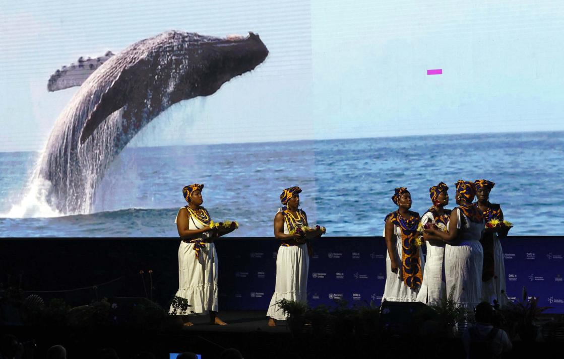 Artistas se presentan en la inauguración de la COP16 de Biodiversidad en Cali (Colombia). EFE/ Mauricio Dueñas Castañeda 