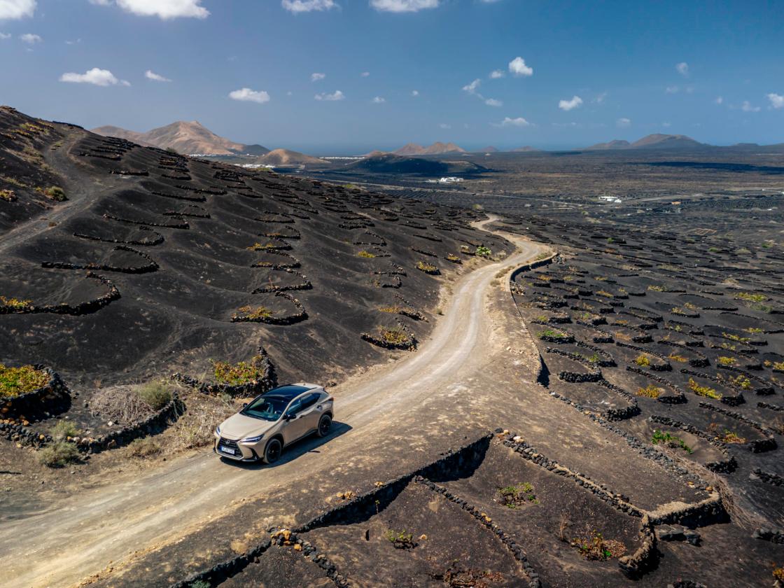 Lexus lanza en España el NX Overtrail híbrido para adaptarse a todos los terrenos. IMAGEN CEDIDA POR LEXUS