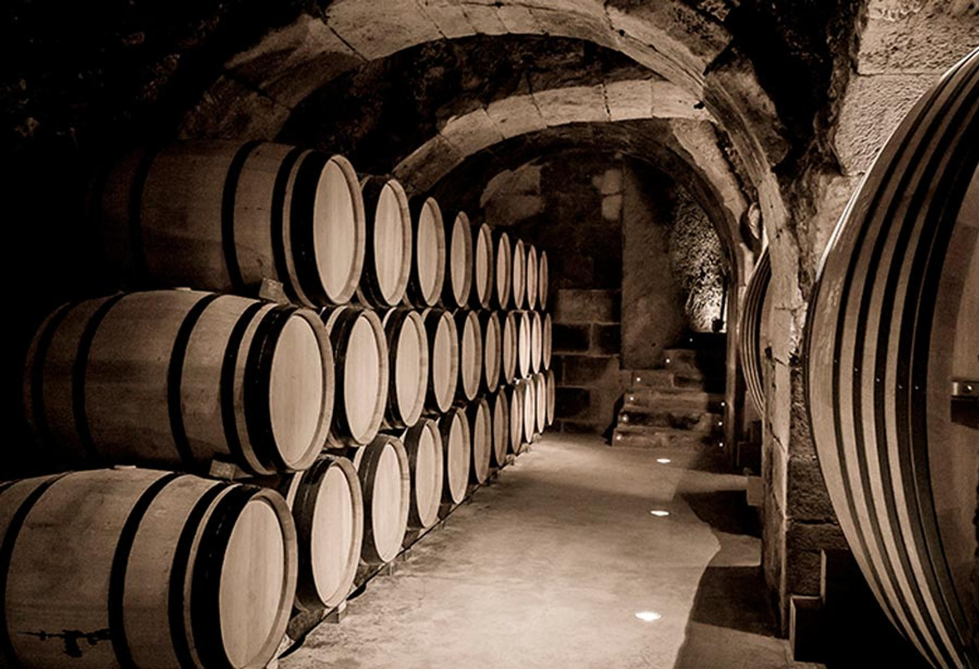 El mercado mexicano supera actualmente los cien millones de litros de vino importados. EFE/ Gobierno Del País Vasco/SOLO USO EDITORIAL/SOLO DISPONIBLE PARA ILUSTRAR LA NOTICIA QUE ACOMPAÑA (CRÉDITO OBLIGATORIO)