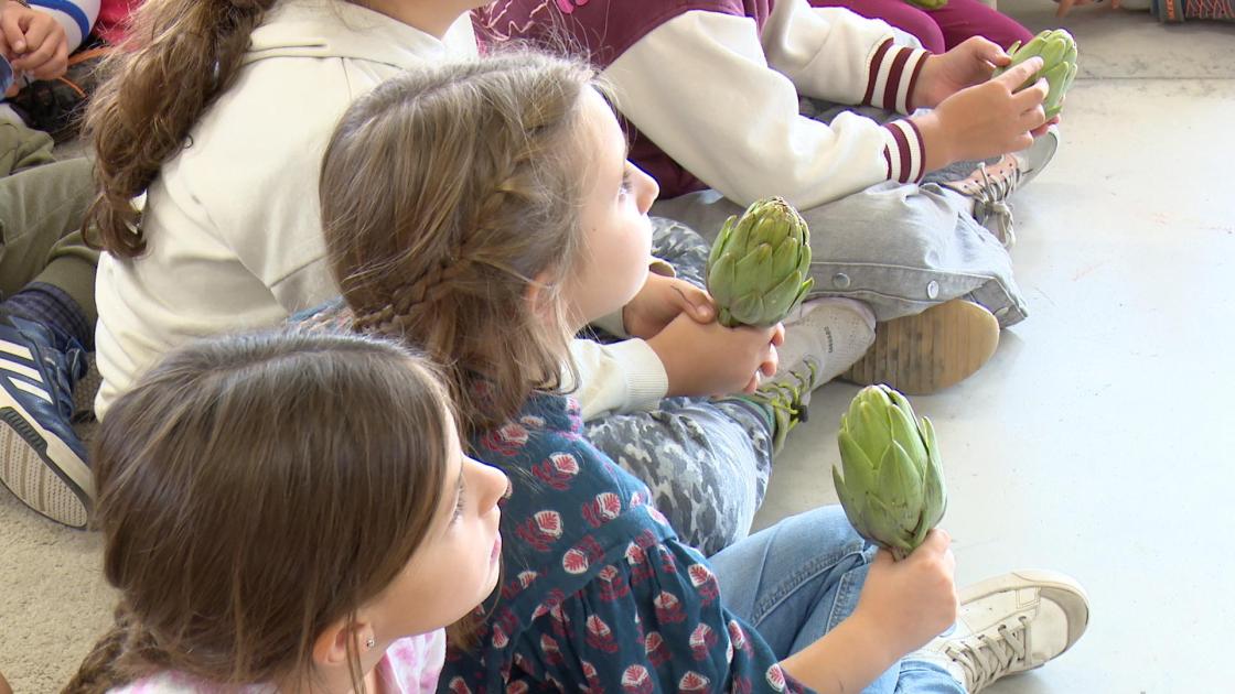 Alumnos del Colegio Reggio, en Madrid, atienden en el taller interactivo de alimentación saludable celebardo como parte de la campaña 'Una Europa más saludable' en el Día Mundial de la Alimentación.